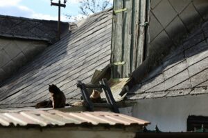 asbestos garage roof